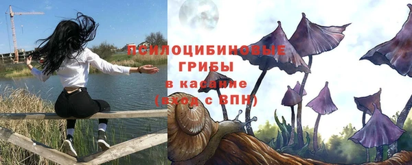 a pvp Алексин