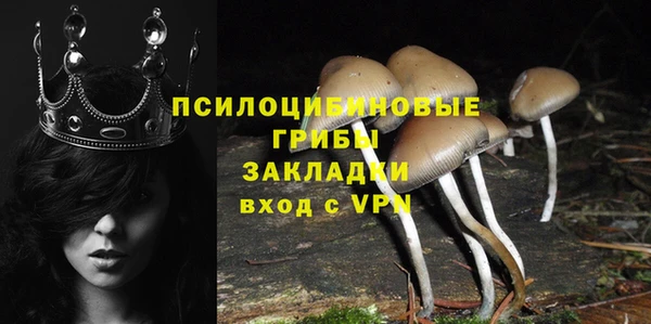 a pvp Алексин