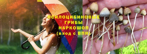 a pvp Алексин