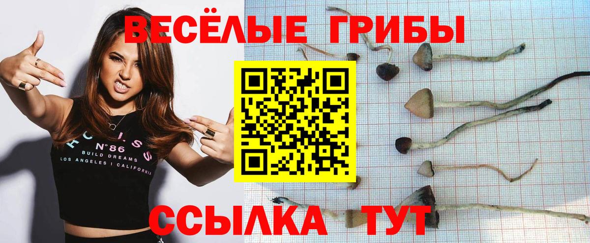 Галлюциногенные грибы Psilocybine cubensis Троицк
